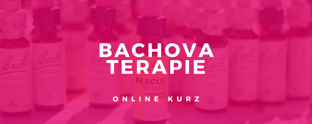Bachova terapie - online kurz