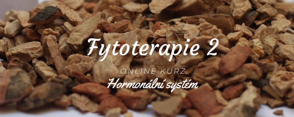 Fytoterapie 2 - hormonální systém
