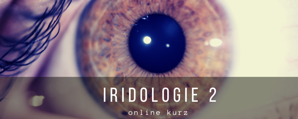 Iridologie 2