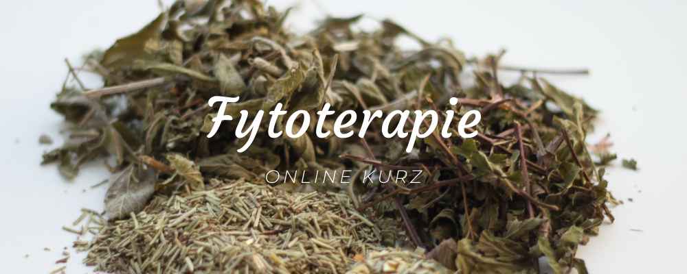 Fytoterapie - online kurz