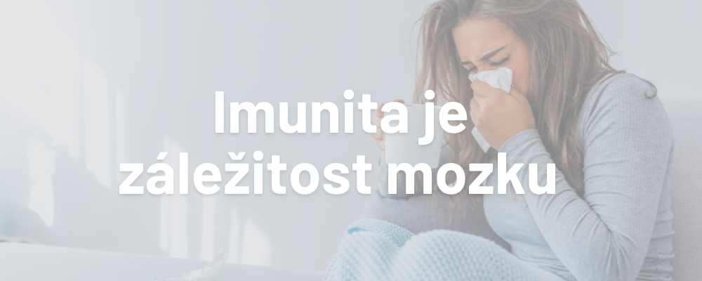 Imunita je záležitost mozku a regulace kortizolu