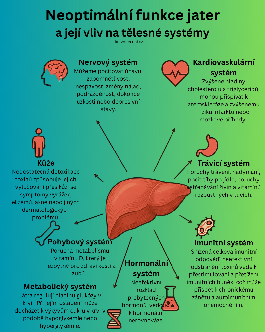 Infografika zobrazující vliv oslabené funkce jater na tělesné systémy – nervový, hormonální, imunitní, trávicí, metabolický, kardiovaskulární, pohybový a kožní. 