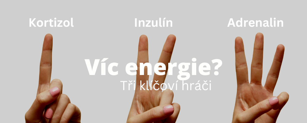 Více energie? Zde jsou tři klíčoví hráči - adrenalin, kortizol, inzulín