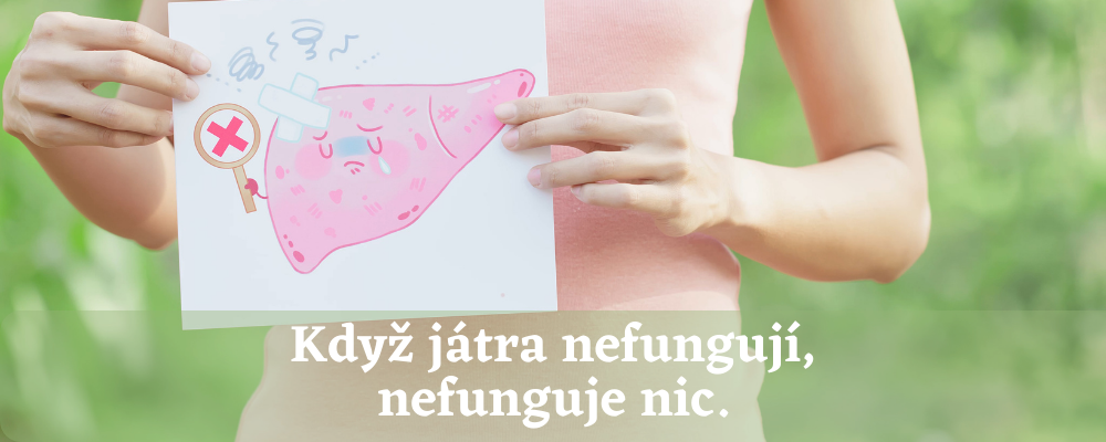 Když játra nefungují, nefunguje nic.