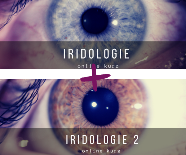 Iridologie - set kurzů