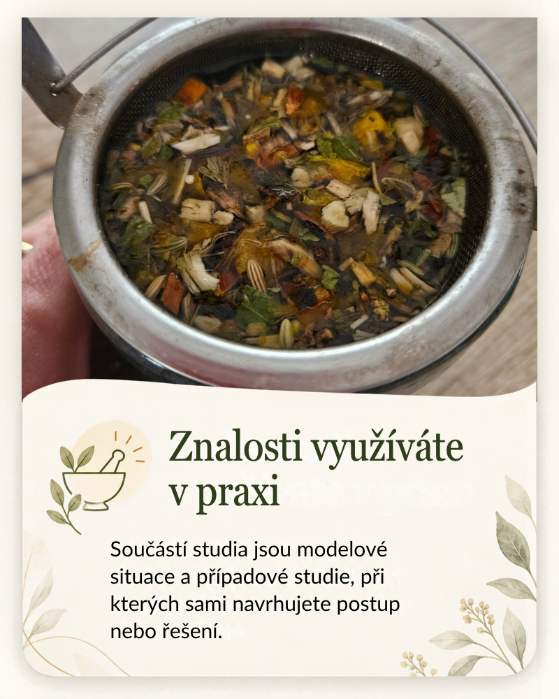 Vědomosti používáte v praxi